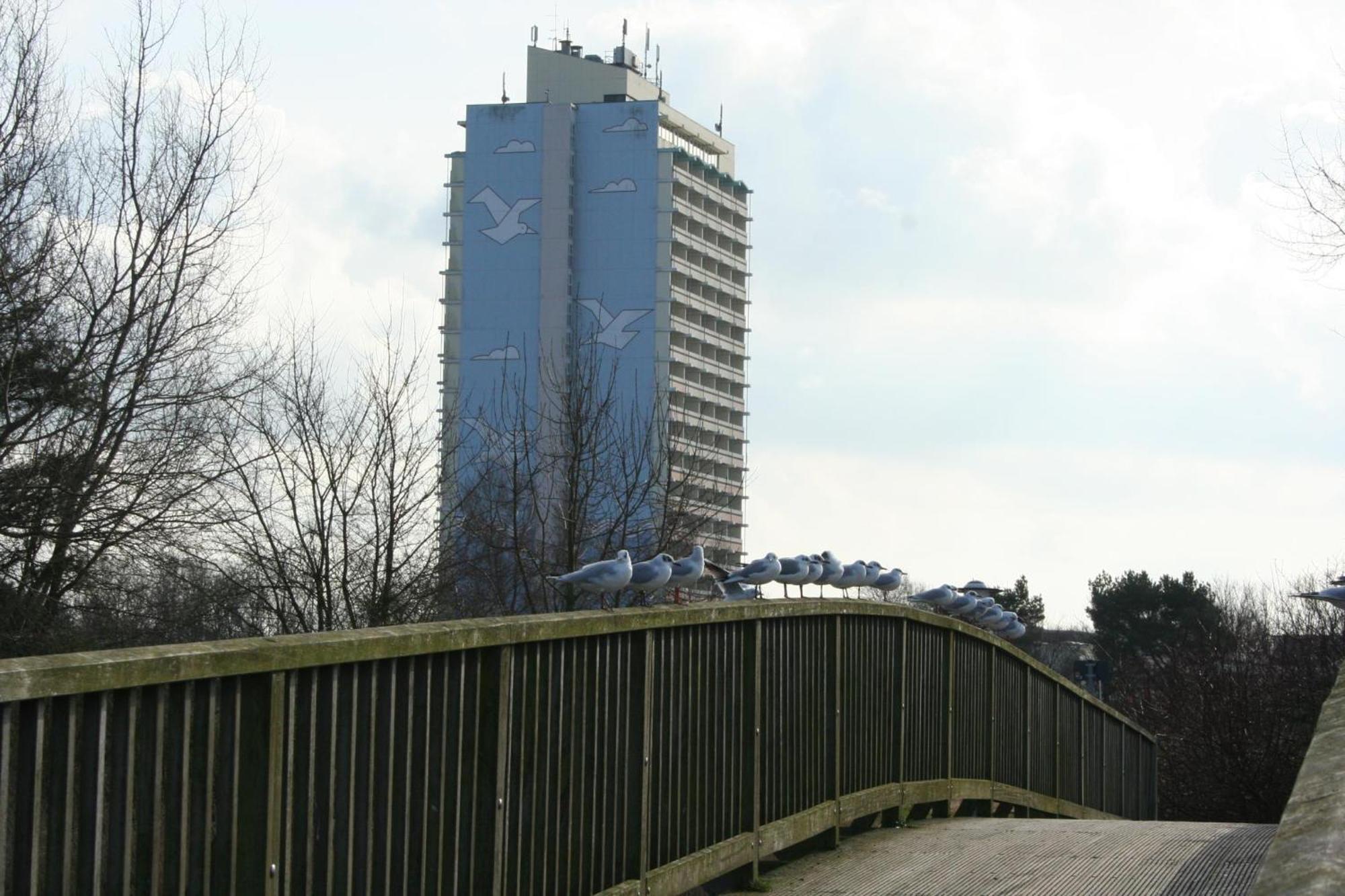 Ferienappartement K110 Fuer 2-4 Personen In Strandnaehe ブラズィリアン エクステリア 写真
